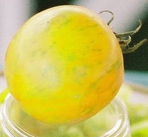 Green Zebra Tomato